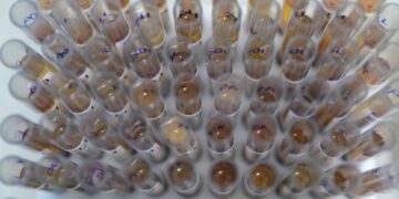 casos-de-malaria-no-brasil-caem-26%-no-primeiro-trimestre-de-2025