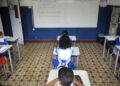 ong-acao-educativa-lanca-edital-para-projetos-de-igualdade-de-genero