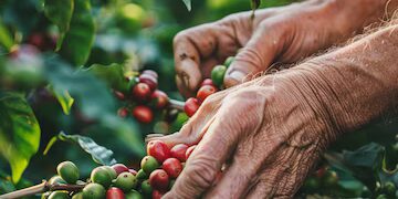 cafe,-em-mais-uma-alta,-custa-r$-2.658,07