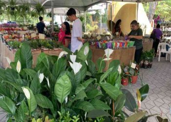 feira-de-flores-celebra-o-dia-das-maes-em-lauro-de-freitas