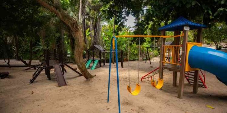 parque-ecologico-recebe-melhorias-e-funcionara-no-feriado-desta-quinta-feira-(1o)