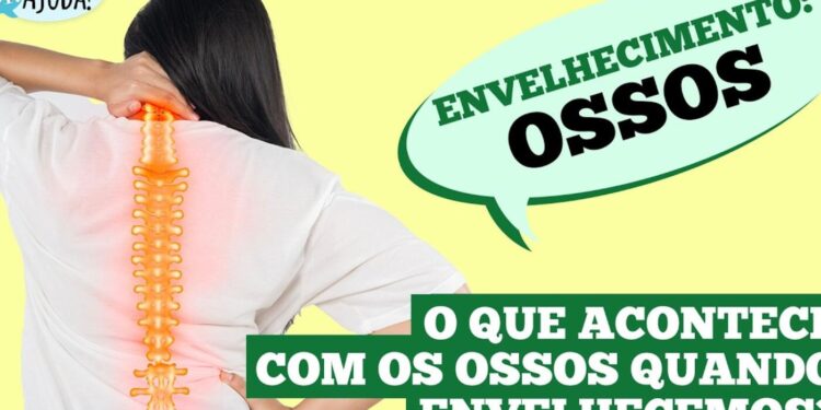 envelhecimento-cardiaco