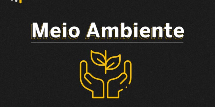 sinir:-municipios-tem-ate-31-de-maio-para-envio-das-informacoes-sobre-residuos-solidos