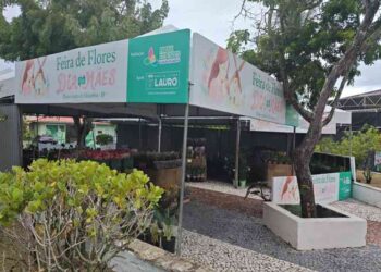 feira-de-flores-reune-um-publico-apaixonado-por-cores-e-aromas-na-noite-desta-sexta-feira-(2)