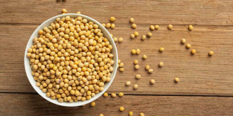 semana-comeca-com-alta-no-preco-da-soja,-no-parana