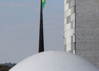 “e-polemico,-mas-vai-a-voto”,-diz-relator-de-licenciamento-ambiental