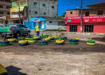 vida-nova-recebe-jardim-sustentavel-em-ponto-de-descarte-irregular