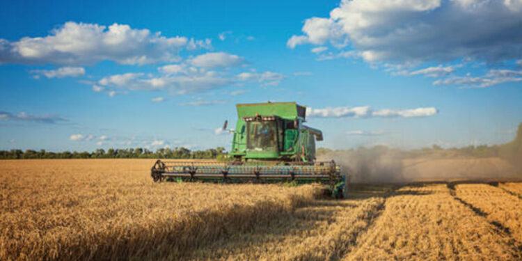 agronegocio:-safra-de-graos-24/25-projeta-recorde-de-332,9-milhoes-de-toneladas