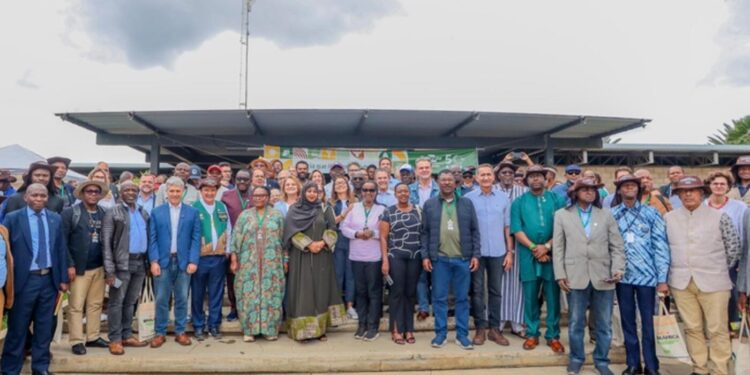brasil-inspira-africa-com-tecnologias-para-transformar-o-semiarido-em-polo-produtivo