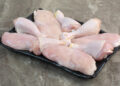 gripe-aviaria:-produtores-de-carne-de-frango-em-estado-de-alerta,-aponta-cepea