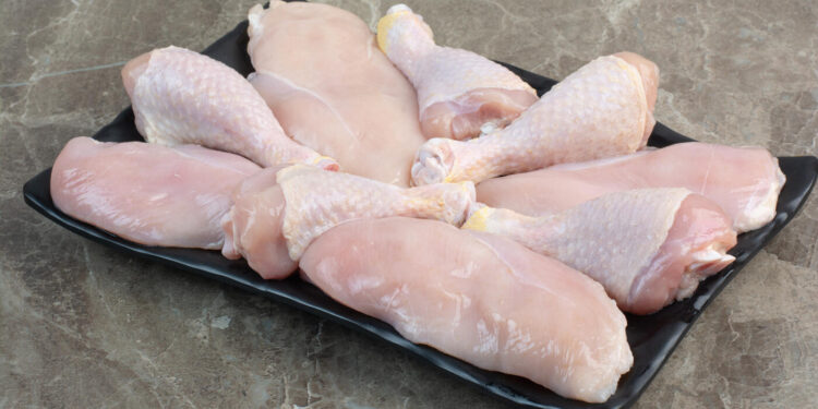 gripe-aviaria:-produtores-de-carne-de-frango-em-estado-de-alerta,-aponta-cepea