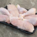 gripe-aviaria:-produtores-de-carne-de-frango-em-estado-de-alerta,-aponta-cepea