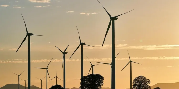 projetos-de-energia-renovavel-no-nordeste-impulsionam-desenvolvimento-com-apoio-do-fdne