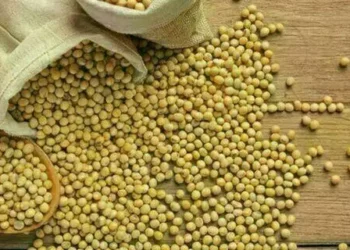 soja-e-trigo-sofrem-queda-nos-precos,-nesta-sexta-feira-(30)