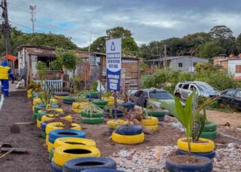 prefeitura-transforma-mais-uma-area-de-descarte-irregular-em-novo-jardim-sustentavel