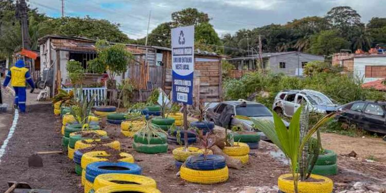 prefeitura-transforma-mais-uma-area-de-descarte-irregular-em-novo-jardim-sustentavel