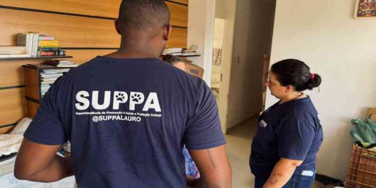 gestao-fiscaliza-acao-de-cuidados-aos-animais-em-buraquinho