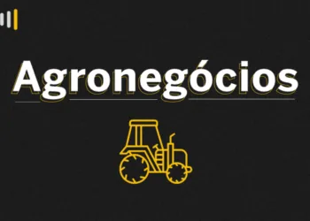 boi-gordo-recua-0,13%