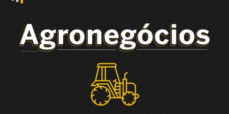 boi-gordo-recua-0,13%