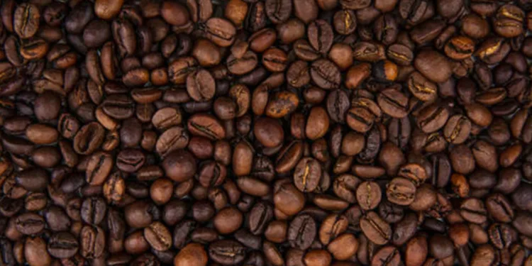 cafe-robusta-sobe-1,04%