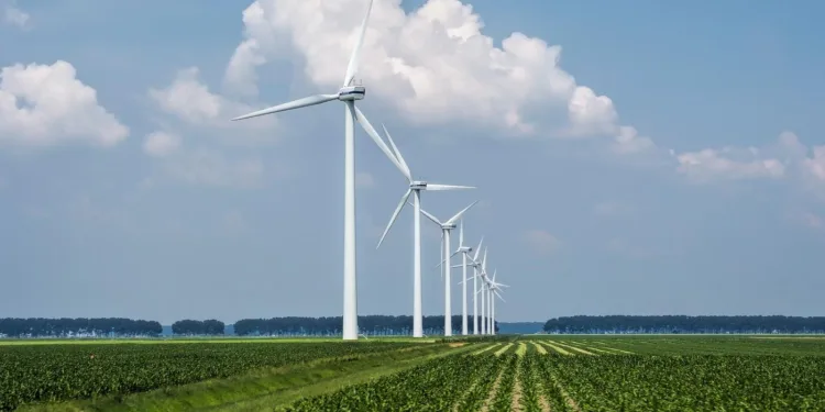 energia-limpa-avanca-na-industria:-48%-das-empresas-ja-adotam-fontes-renovaveis