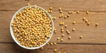 preco-da-soja-apresenta-recuo-nesta-quinta-feira-(12),-no-interior-do-parana