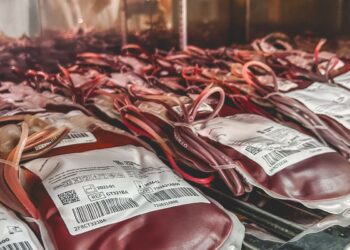 dia-mundial-do-doador-de-sangue:-uma-unica-doacao-pode-salvar-3-vidas