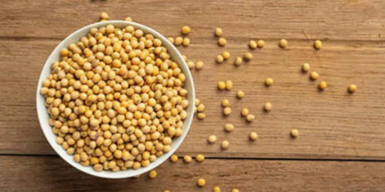 soja:-preco-da-saca-sofre-alta,-nesta-segunda-feira-(16),-no-interior-do-parana