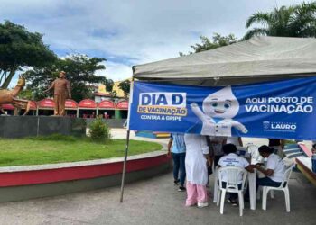 mais-de-900-pessoas-ja-se-vacinaram-em-pontos-itinerantes-de-vacinacao-contra-a-gripe