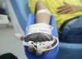 junho-vermelho:-cada-doacao-de-sangue-pode-salvar-ate-4-vidas