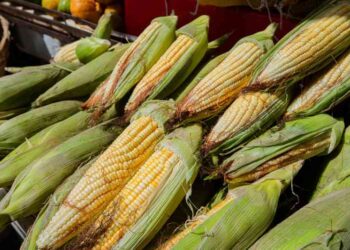 mercado-municipal-de-lauro-de-freitas-e-opcao-para-compras-juninas-com-tradicao-e-qualidade