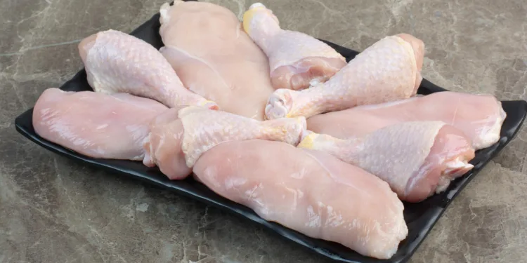 gripe-aviaria:-brasil-se-autodeclara-livre-da-doenca