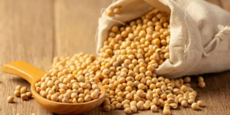 soja-registra-alta-no-parana,-com-a-saca-vendida-a-r$-135,06,-em-paranagua