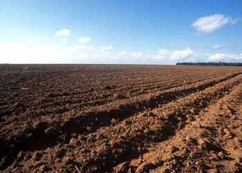 goias-inicia-vazio-sanitario-da-soja-nesta-sexta-feira;-medida-ja-vale-em-outros-estados