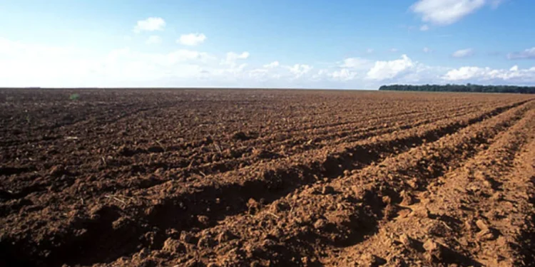 goias-inicia-vazio-sanitario-da-soja-nesta-sexta-feira;-medida-ja-vale-em-outros-estados
