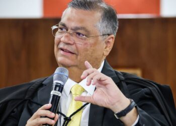 stf-nao-atua-por-interesse-do-governo,-diz-flavio-dino-sobre-emendas