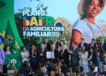 plano-safra-25/26-vai-disponibilizar-r$-89-bilhoes-para-agricultura-familiar