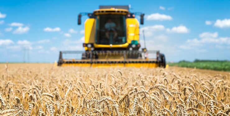 preco-da-soja-hoje-(3):-interior-do-parana-e-em-paranagua-tem-alta