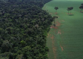 brics:-financiamento-climatico-e-responsabilidade-de-paises-ricos