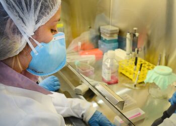 usp:-pesquisa-de-vacina-contra-zika-avanca-em-testes-com-camundongos