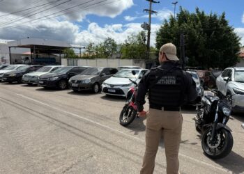 operacao-loki-apreende-mais-de-r$-1-milhao-em-bens-de-grupo-criminoso-em-paulo-afonso