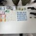 armas-e-drogas-sao-apreendidas-durante-operacao-conjunta-das-policias-militar-e-civil-em-senhor-do-bonfim-e-jaguarari