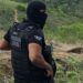 investigado-por-violencia-domestica-tem-mandado-cumprido-em-pirai-do-norte