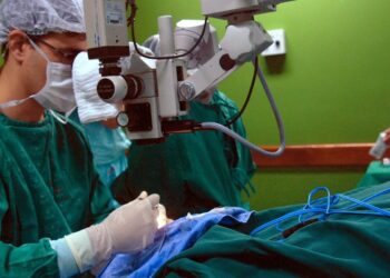 cancer-de-intestino-que-vitimou-preta-gil-e-o-3o-mais-comum-no-pais