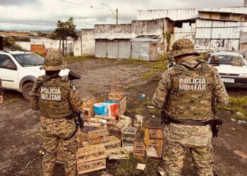 pm-apreende-aves-silvestres-e-conduz-homens-por-crime-ambiental-em-feira-de-santana
