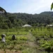 ditr-2025:-prazo-e-orientacoes-para-a-entrega-da-declaracao-do-imposto-rural