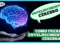 envelhecimento-do-cerebro:-entenda-e-cuide-da-sua-mente