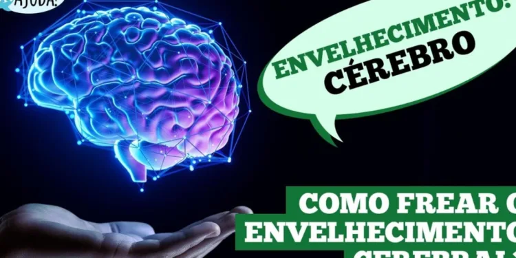 envelhecimento-do-cerebro:-entenda-e-cuide-da-sua-mente