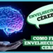 envelhecimento-do-cerebro:-entenda-e-cuide-da-sua-mente