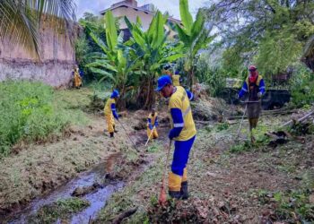 prefeitura-realiza-limpeza-manual-de-canal-em-vilas-do-atlantico-para-prevenir-alagamentos